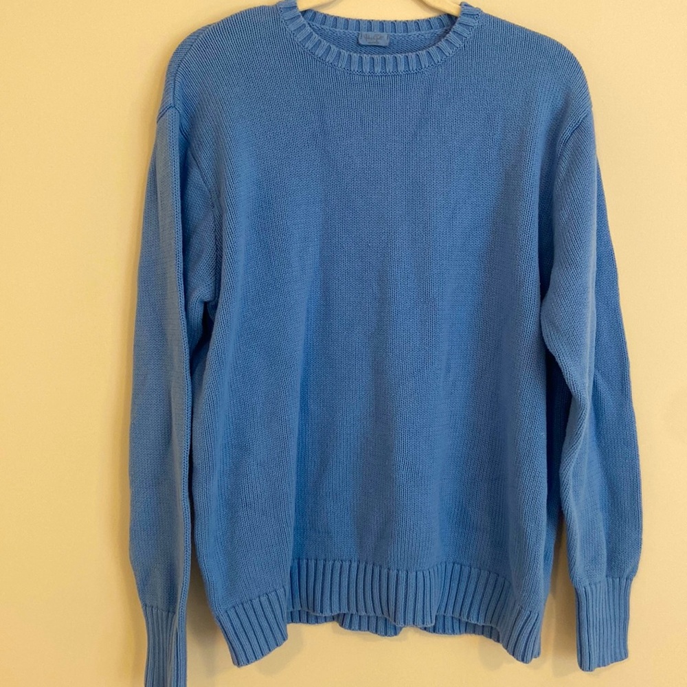 Sky blue Brandy Melville sweater.